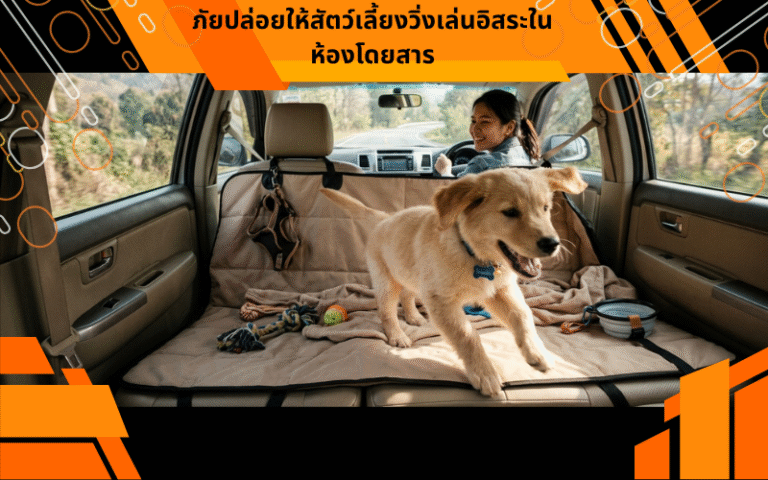 ภัยปล่อยให้สัตว์เลี้ยงวิ่งเล่นอิสระในห้องโดยสาร